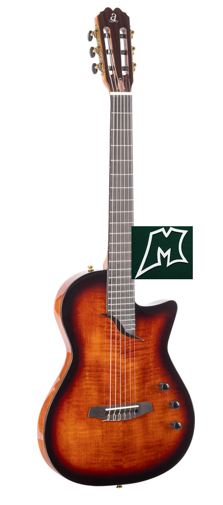 Nueva guitarra Admira Stage